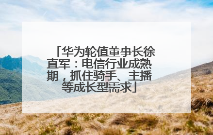 华为轮值董事长徐直军：电信行业成熟期，抓住骑手、主播等成长型需求