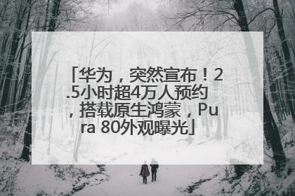 华为，突然宣布！2.5小时超4万人预约，搭载原生鸿蒙，Pura 80外观曝光
