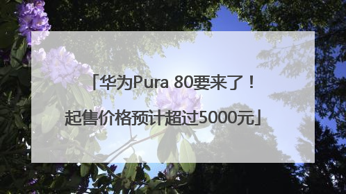 华为Pura 80要来了！起售价格预计超过5000元