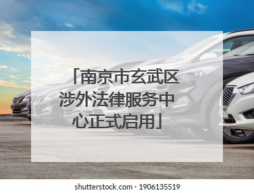 南京市玄武区涉外法律服务中心正式启用