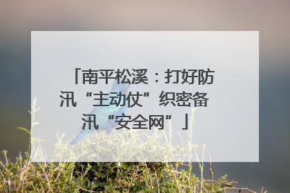 南平松溪：打好防汛“主动仗”织密备汛“安全网”