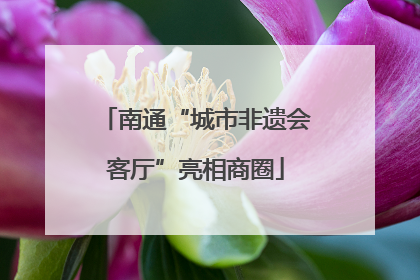 南通“城市非遗会客厅”亮相商圈