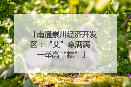南通崇川经济开发区：“艾”意满满 一举高“粽”
