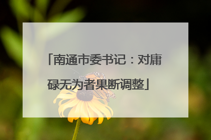 南通市委书记：对庸碌无为者果断调整