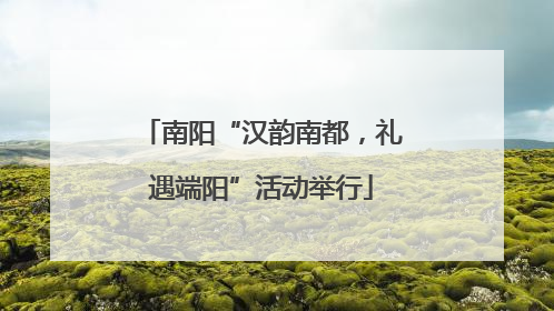 南阳“汉韵南都，礼遇端阳”活动举行