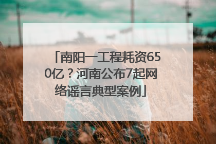 南阳一工程耗资650亿？河南公布7起网络谣言典型案例