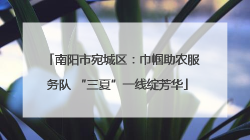 南阳市宛城区：巾帼助农服务队 “三夏”一线绽芳华
