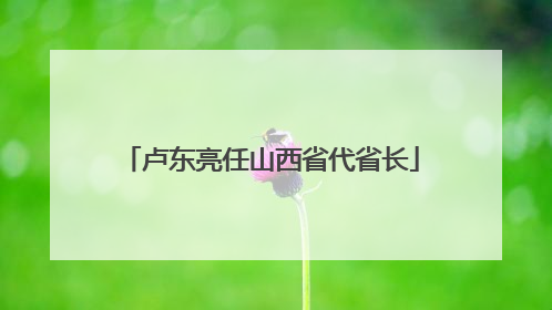 卢东亮任山西省代省长
