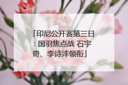 印尼公开赛第三日：国羽焦点战 石宇奇、李诗沣领衔