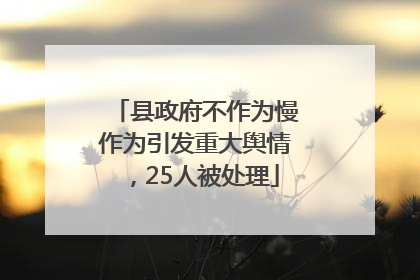 县政府不作为慢作为引发重大舆情，25人被处理