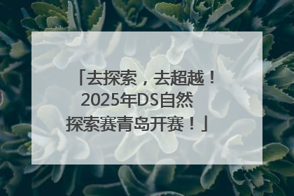 去探索，去超越！2025年DS自然探索赛青岛开赛！
