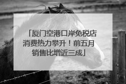 厦门空港口岸免税店消费热力攀升！前五月销售比增近三成