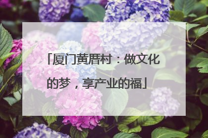 厦门黄厝村：做文化的梦，享产业的福