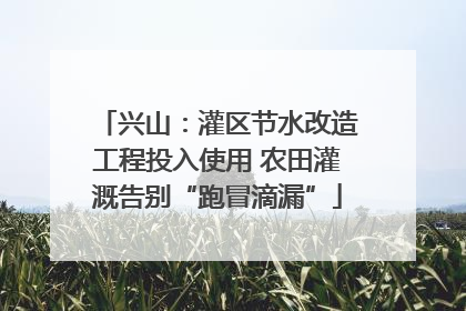 兴山：灌区节水改造工程投入使用 农田灌溉告别“跑冒滴漏”