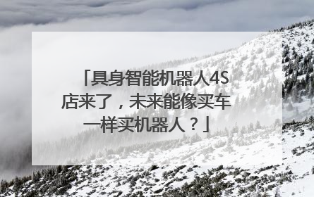 具身智能机器人4S店来了，未来能像买车一样买机器人？
