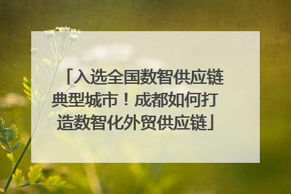入选全国数智供应链典型城市！成都如何打造数智化外贸供应链