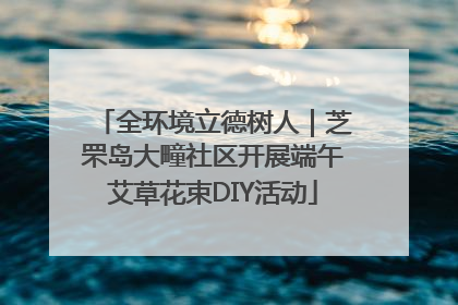 全环境立德树人｜芝罘岛大疃社区开展端午艾草花束DIY活动