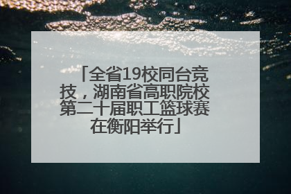 全省19校同台竞技，湖南省高职院校第二十届职工篮球赛在衡阳举行