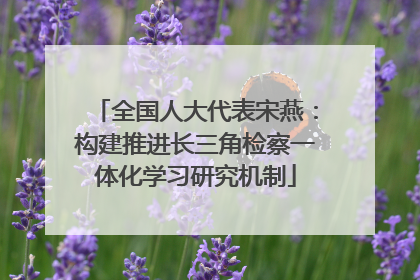全国人大代表宋燕：构建推进长三角检察一体化学习研究机制