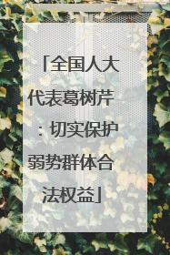 全国人大代表葛树芹：切实保护弱势群体合法权益