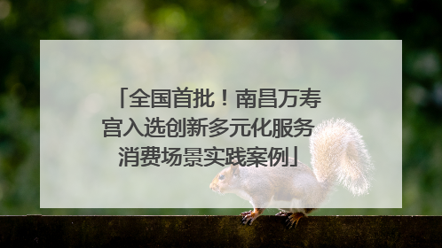 全国首批！南昌万寿宫入选创新多元化服务消费场景实践案例