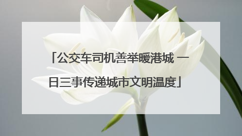 公交车司机善举暖港城 一日三事传递城市文明温度