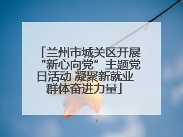 兰州市城关区开展“新心向党”主题党日活动 凝聚新就业群体奋进力量