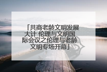 共商老龄文明发展大计 伦理与文明国际会议之伦理与老龄文明专场开幕