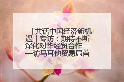 共话中国经济新机遇丨专访：期待不断深化对华经贸合作——访马耳他贸易局首席执行官布蒂吉格
