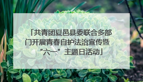 共青团夏邑县委联合多部门开展青春自护法治宣传暨“六一”主题日活动