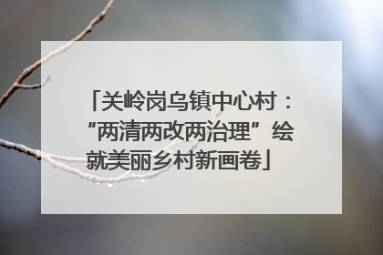关岭岗乌镇中心村：“两清两改两治理”绘就美丽乡村新画卷