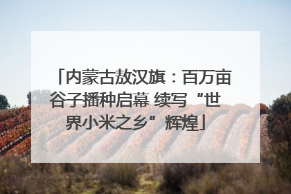 内蒙古敖汉旗：百万亩谷子播种启幕 续写“世界小米之乡”辉煌