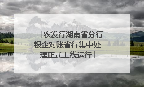 农发行湖南省分行银企对账省行集中处理正式上线运行
