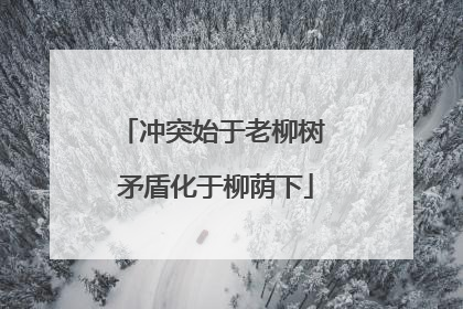 冲突始于老柳树 矛盾化于柳荫下