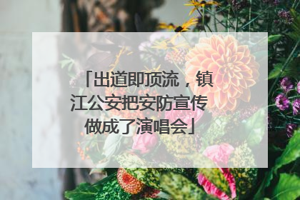 出道即顶流，镇江公安把安防宣传做成了演唱会