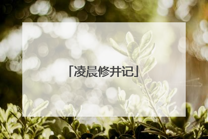 凌晨修井记