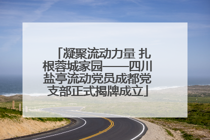 凝聚流动力量 扎根蓉城家园——四川盐亭流动党员成都党支部正式揭牌成立