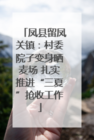 凤县留凤关镇：村委院子变身晒麦场 扎实推进“三夏”抢收工作