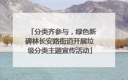 分类齐参与，绿色新碑林长安路街道开展垃圾分类主题宣传活动
