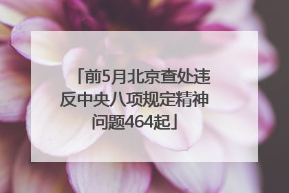 前5月北京查处违反中央八项规定精神问题464起