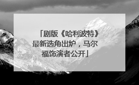 剧版《哈利波特》最新选角出炉，马尔福饰演者公开