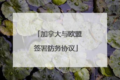加拿大与欧盟签署防务协议
