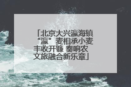 北京大兴瀛海镇“瀛”麦相承小麦丰收开镰 奏响农文旅融合新乐章