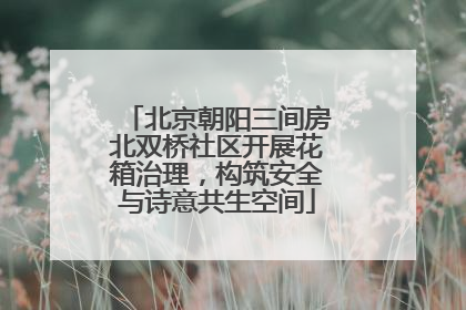 北京朝阳三间房北双桥社区开展花箱治理，构筑安全与诗意共生空间
