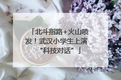 北斗指路+火山喷发！武汉小学生上演“科技对话”