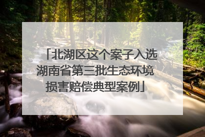 北湖区这个案子入选湖南省第三批生态环境损害赔偿典型案例