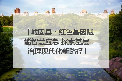 城固县：红色基因赋能智慧应急 探索基层治理现代化新路径