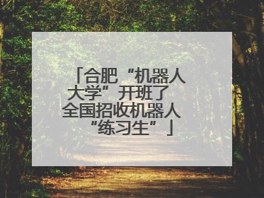合肥“机器人大学”开班了 全国招收机器人“练习生”