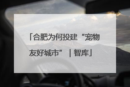 合肥为何投建“宠物友好城市”｜智库