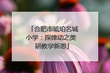 合肥市琥珀名城小学：探律动之美 研教学新思